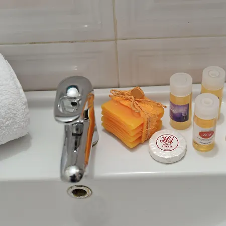 Hotel Anesis