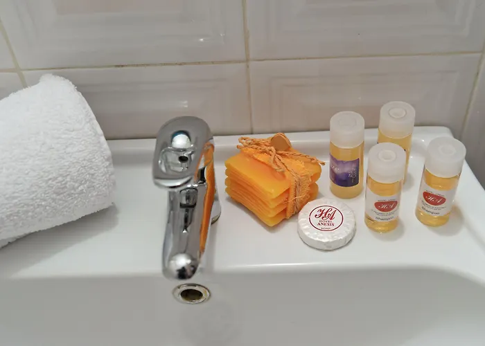 Hotel Anesis